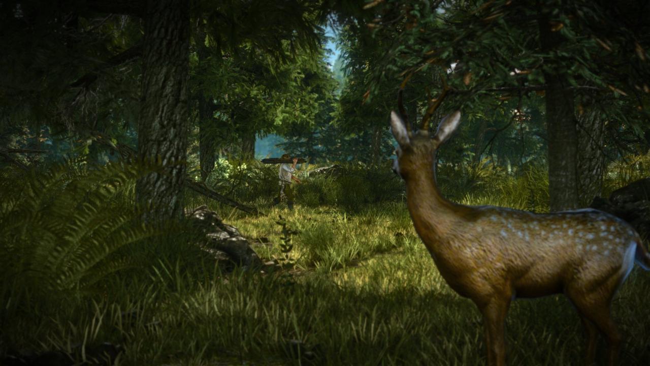 [13/04/2012] The Witcher 2: Assassins of Kings
