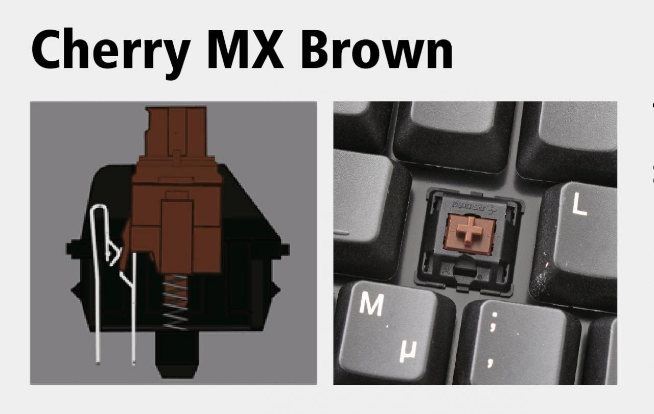 [18/10/2012] Ein Cherry MX-Brown-Taster im Querschnitt sowie auch bei einer Tastatur, bei der man einen Tastendeckel entfernt hat.