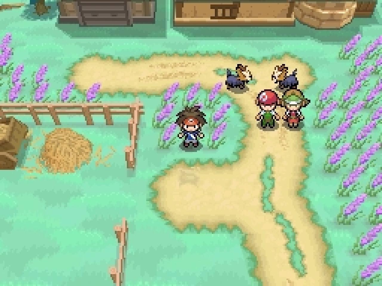 [11/10/2012] Pokémon Schwarz & Weiss 2. (5)
