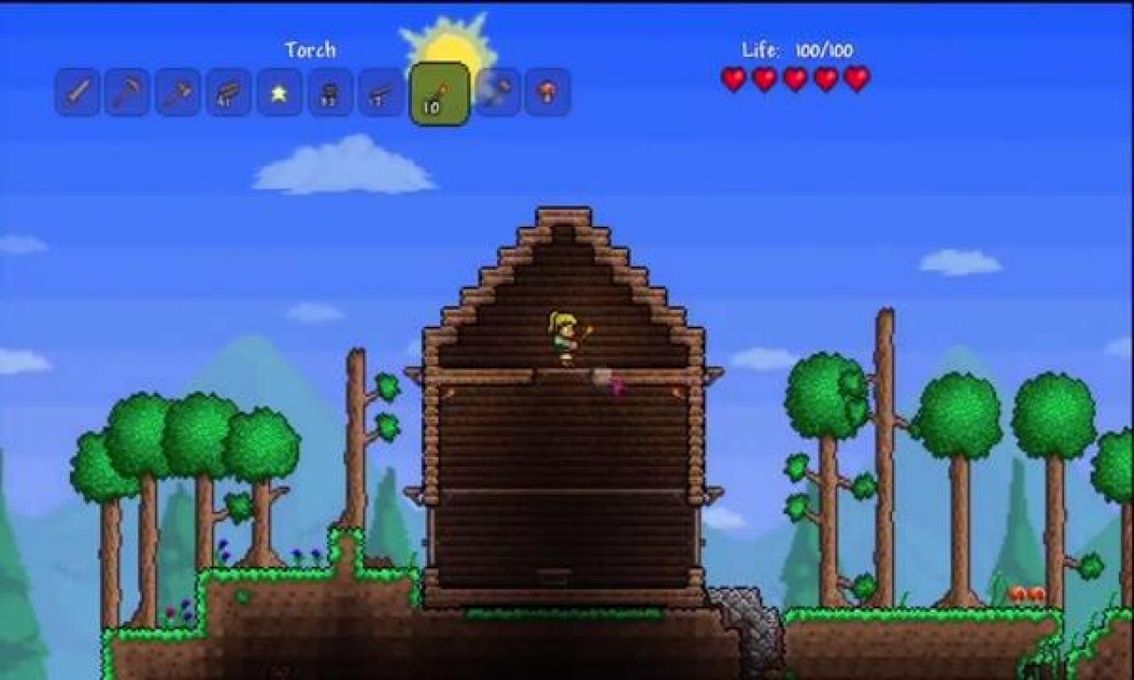 [04/10/2012] Terraria für Playstation 3 im Test (2)