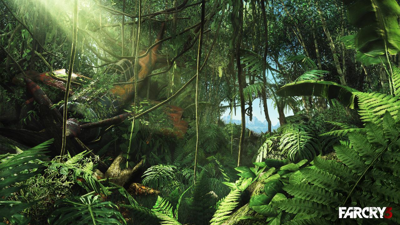 [22/11/2012] Far Cry 3 (17)