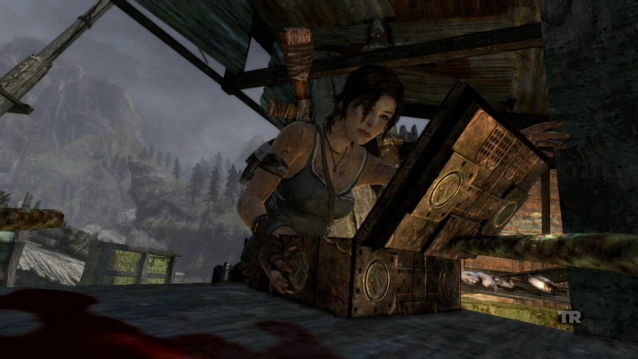 [25/02/2013] Tomb Raider (21)