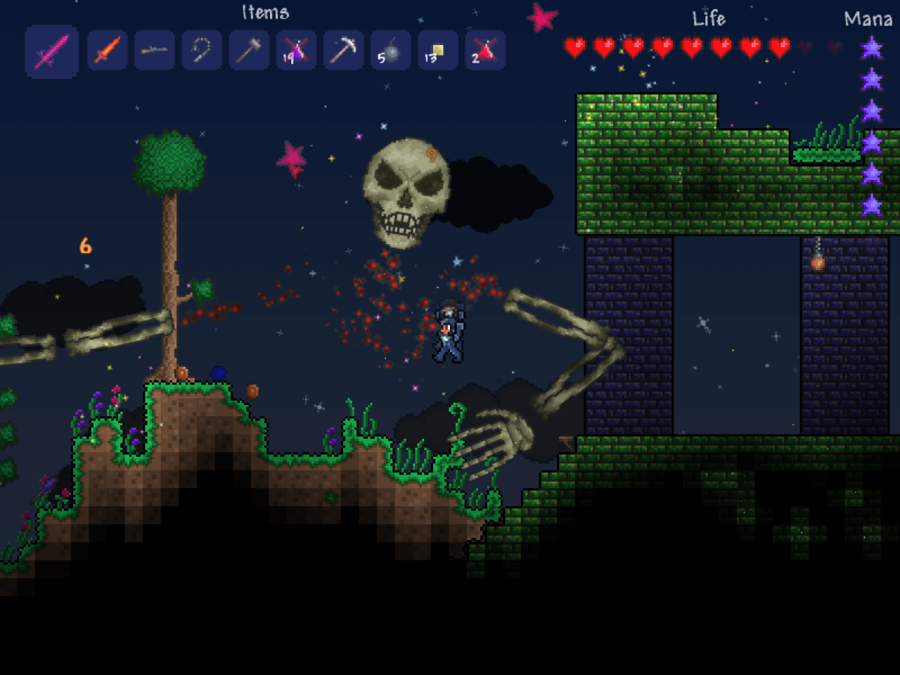 [12/05/2013] Skeletron.