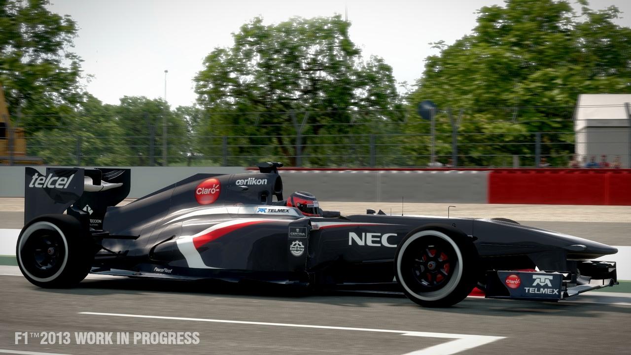 [16/08/2013] F1 2013 (7)