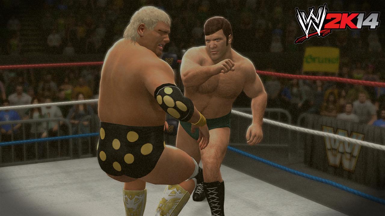 [21/10/2013] WWE 2K14 im Test (13)