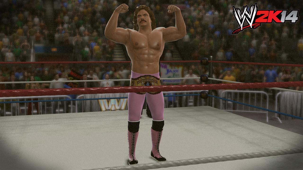 [21/10/2013] WWE 2K14 im Test (6)