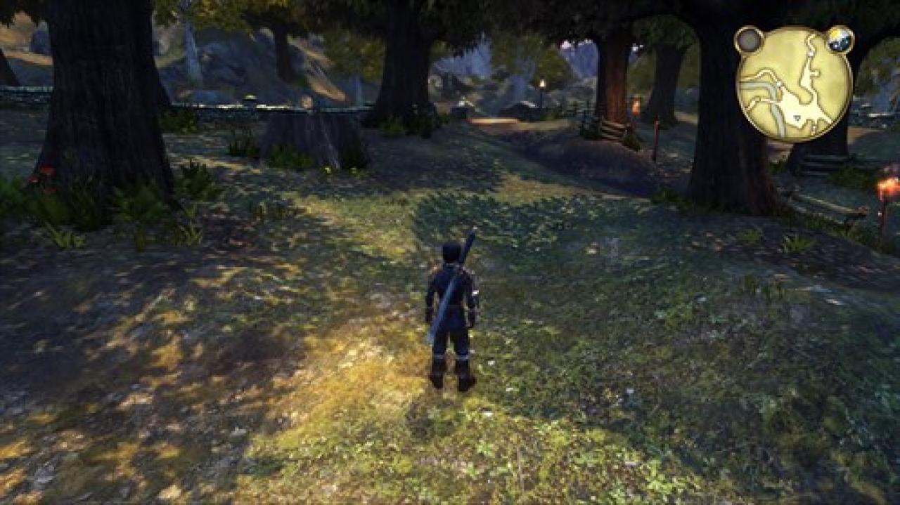 [13/01/2014] Fable Anniversary im Test (13)