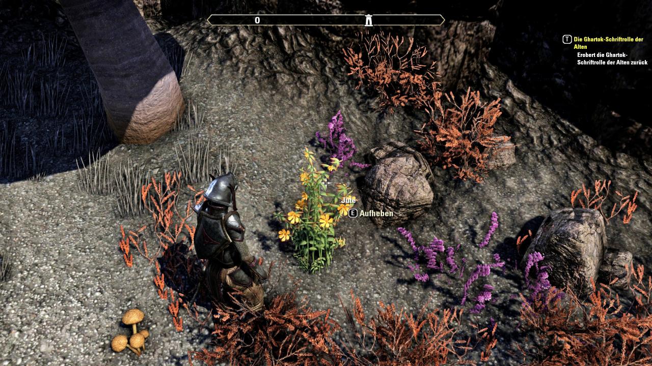 [25/04/2014] TESO - The Elder Scrolls Online (6)