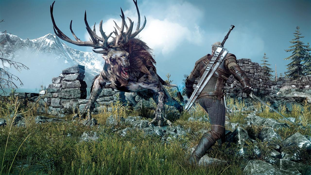 [11/06/2014] The Witcher 3: Wild Hunt (16)