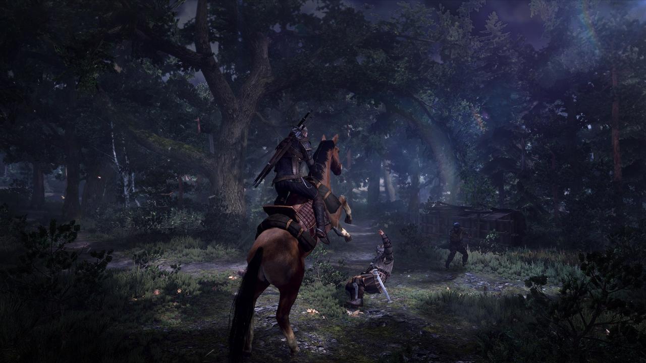 [11/06/2014] The Witcher 3: Wild Hunt (14)