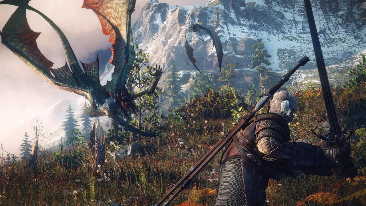 [11/06/2014] The Witcher 3: Wild Hunt (15)