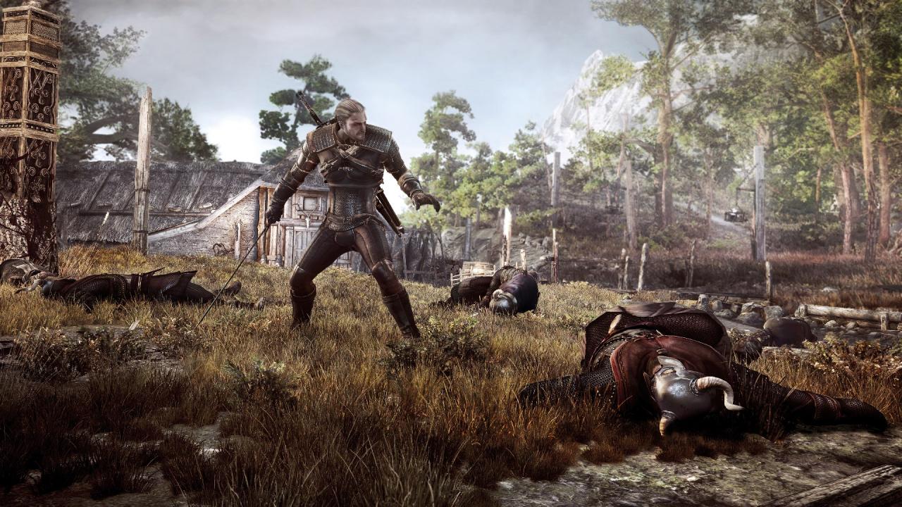 [11/06/2014] The Witcher 3: Wild Hunt (23)
