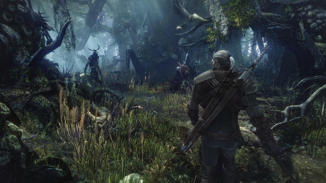 [11/06/2014] The Witcher 3: Wild Hunt (26)