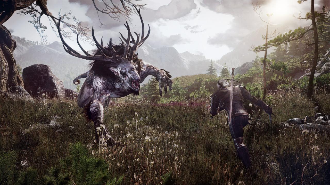 [11/06/2014] The Witcher 3: Wild Hunt (27)