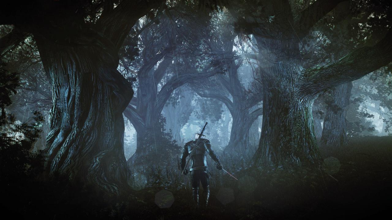 [11/06/2014] The Witcher 3: Wild Hunt (29)