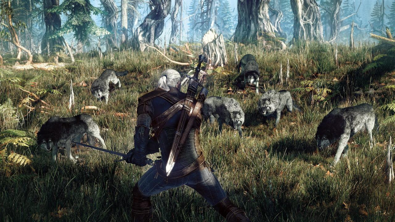 [11/06/2014] The Witcher 3: Wild Hunt (20)