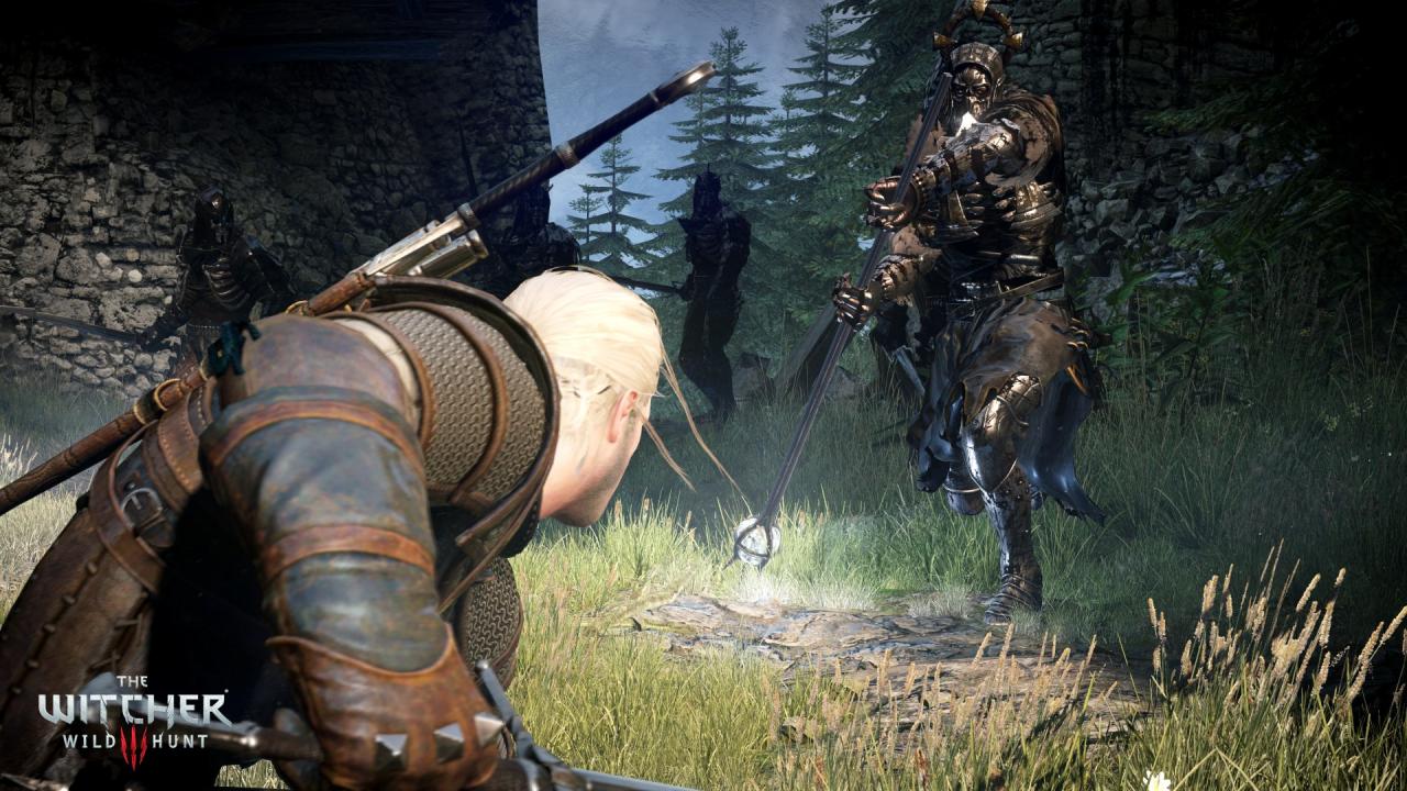 [11/06/2014] The Witcher 3: Wild Hunt (24)