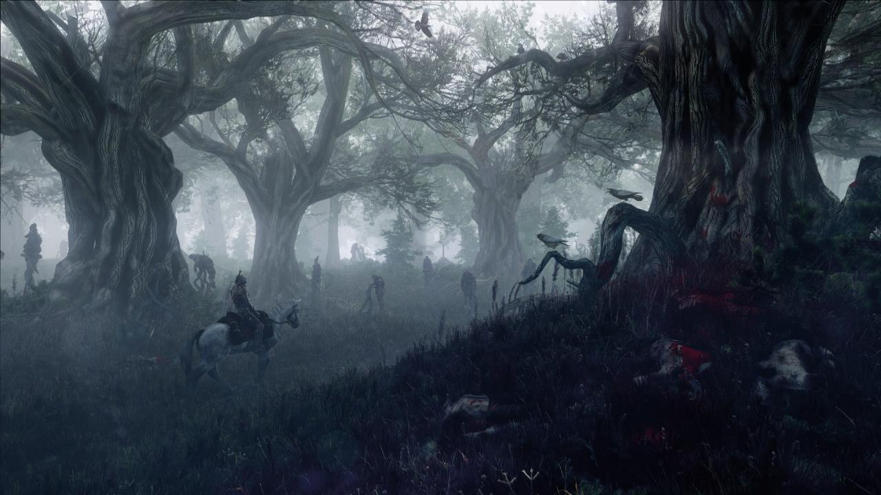 [11/06/2014] The Witcher 3: Wild Hunt (19)