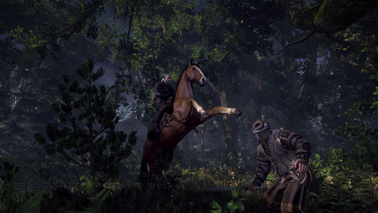 [11/06/2014] The Witcher 3: Wild Hunt (32)