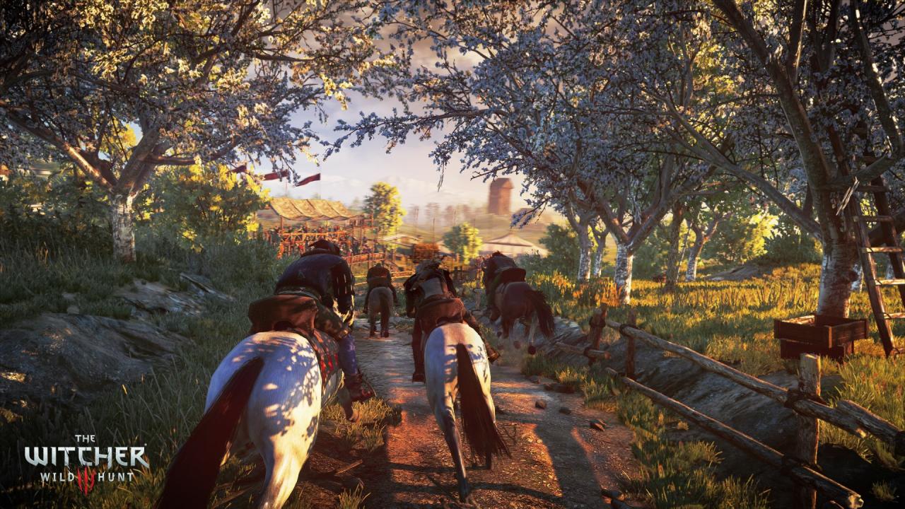 [11/06/2014] The Witcher 3: Wild Hunt (31)