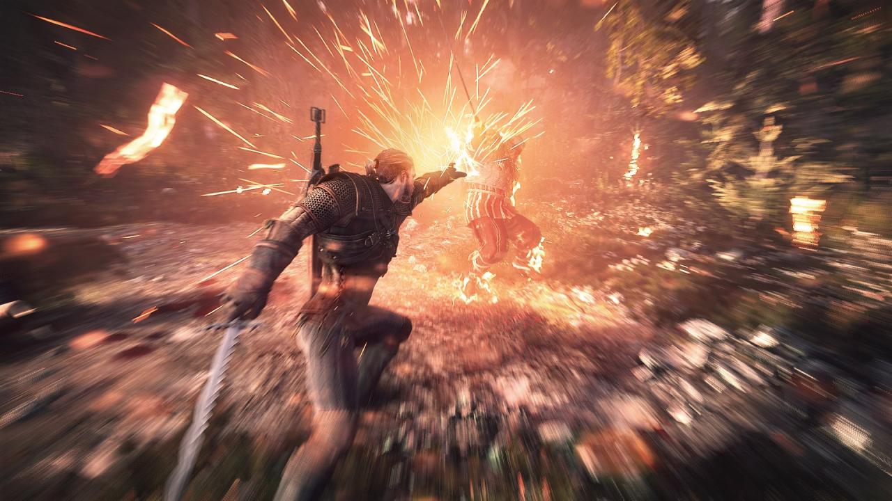 [11/06/2014] The Witcher 3: Wild Hunt (33)
