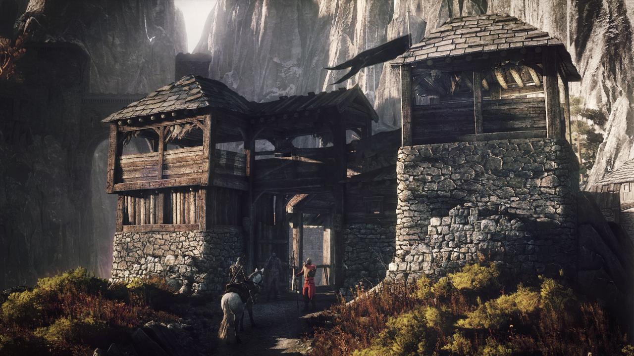 [11/06/2014] The Witcher 3: Wild Hunt (34)