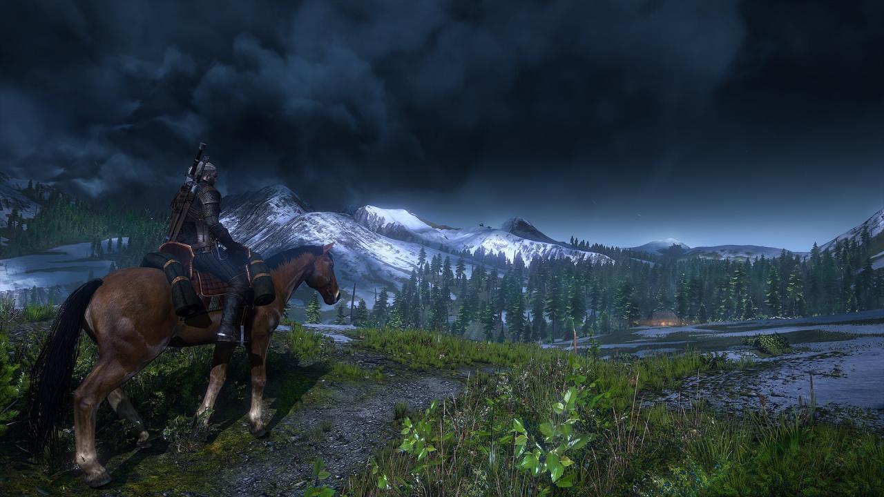 [11/06/2014] The Witcher 3: Wild Hunt (35)
