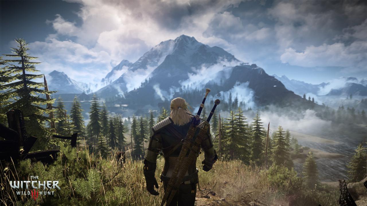 [11/06/2014] The Witcher 3: Wild Hunt (39)