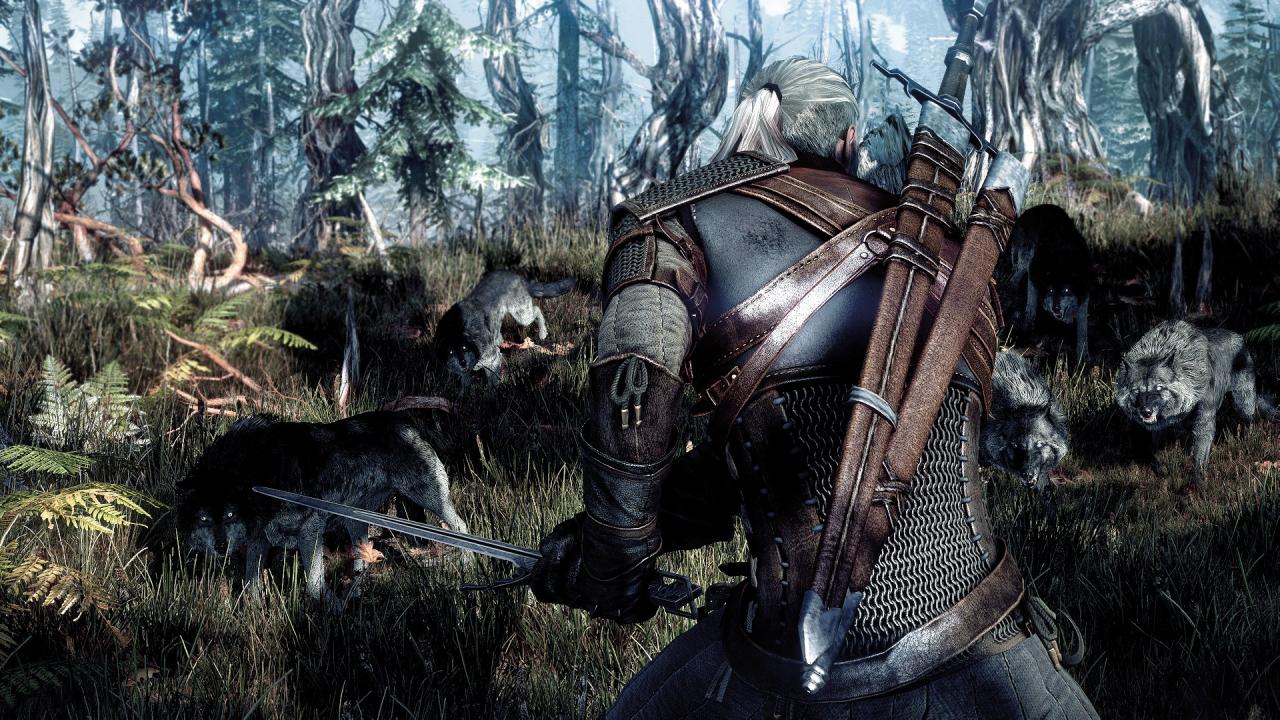 [11/06/2014] The Witcher 3: Wild Hunt (42)
