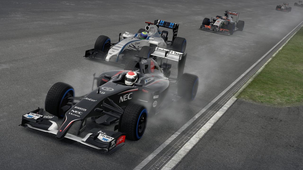 [31/07/2014] F1 2014 im Test (7)
