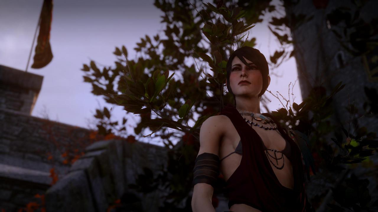 [16/12/2014] Dragon Age: Inquisition für PC, Xbox und Playstation. (6)