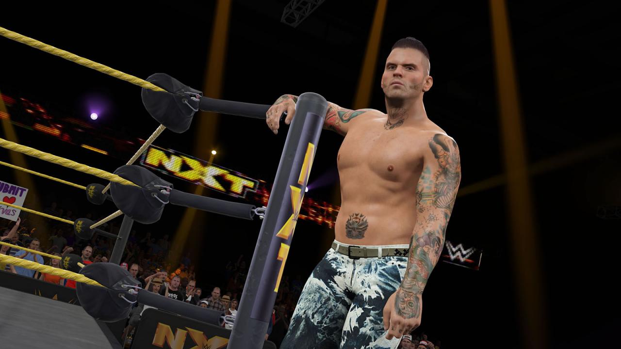 [17/12/2014] WWE 2k15 (5)