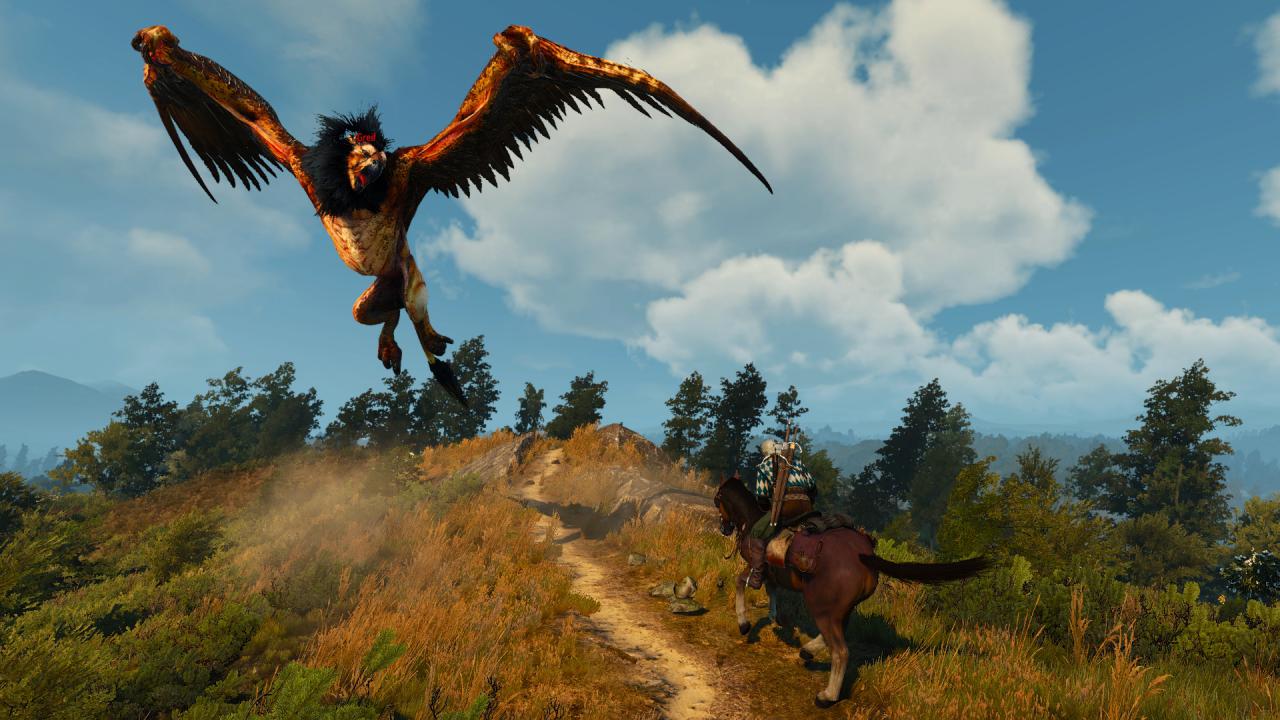 [28/05/2015] The Witcher 3