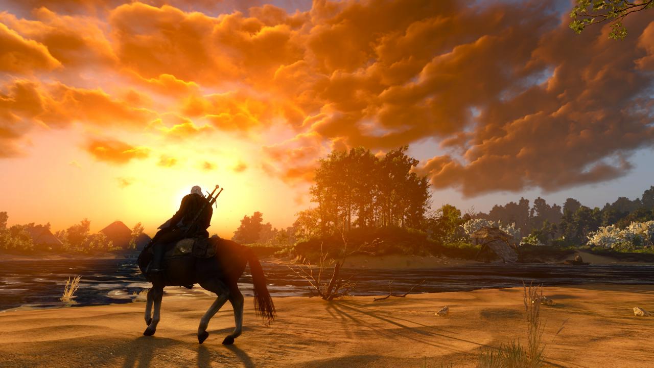 [28/05/2015] The Witcher 3