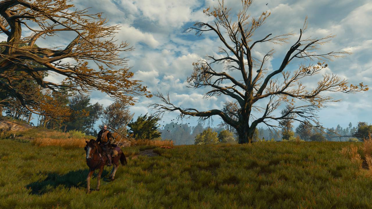 [28/05/2015] The Witcher 3 ist und bleibt ein Meisterwerk.&nbsp;