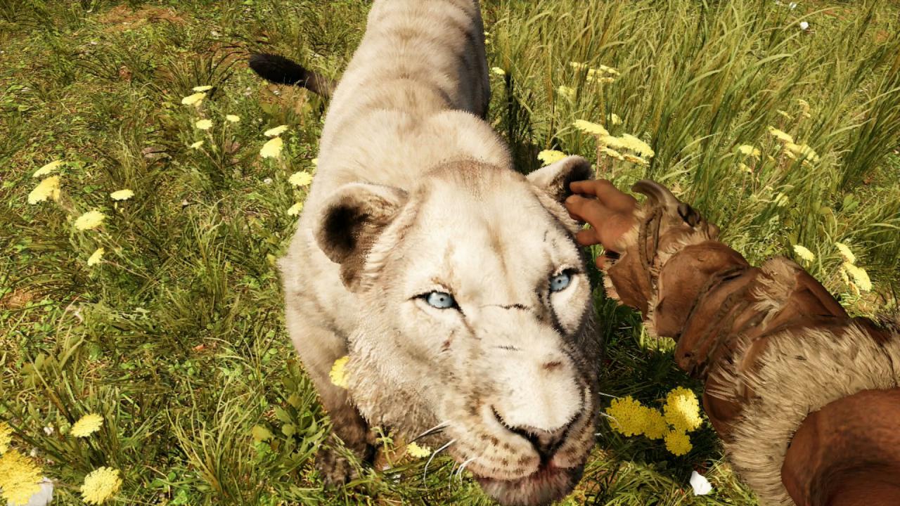 Far Cry Primal