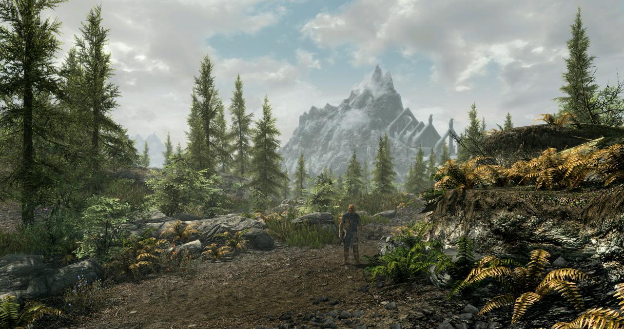 [28/10/2016] Kaum ein Spiel präsentiert euch ein annähernd entspannendes Naturschauspiel wie Skyrim. Wer zu ein paar Mods greift, kann sein Erlebnis noch einmal verbessern.