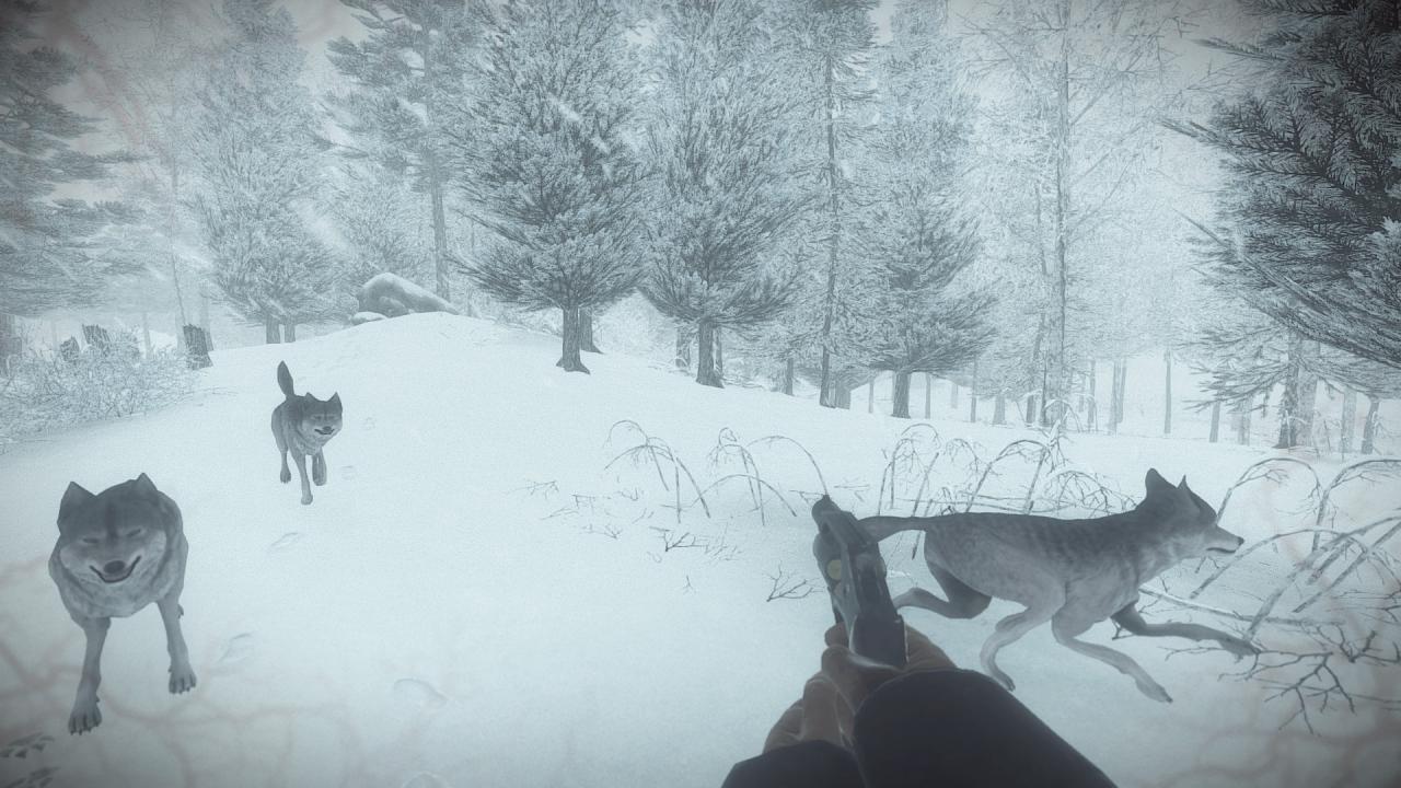 [22/03/2017] Die Kampfsequenzen wirken aufgesetzt und lassen sich nicht gut steuern, etwa beim Duell mit einem Wolf.