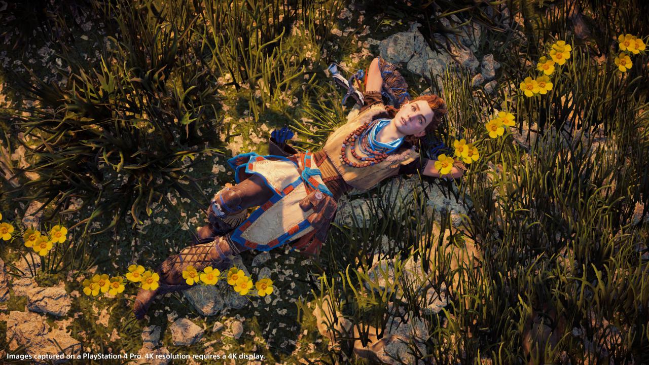 [03/05/2017] Horizon: Zero Dawn - Zwei Monate nach Release - Was hat sich seit dem getan? (3)