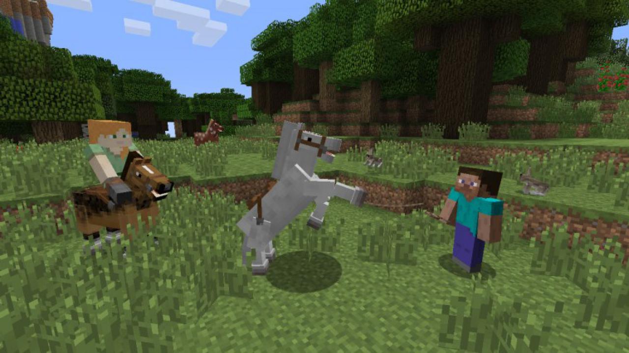 [15/05/2017] Minecraft geht immer.