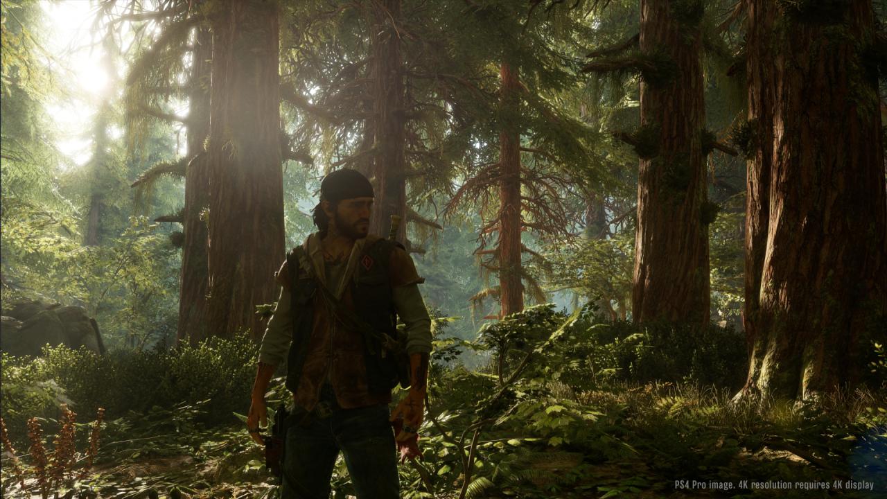 [16/06/2017] Days Gone: Neue Screenshots von der E3 2017 (6)