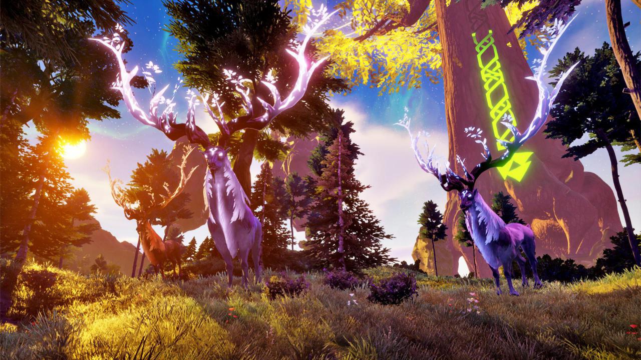 [22/05/2018] Rend (2)