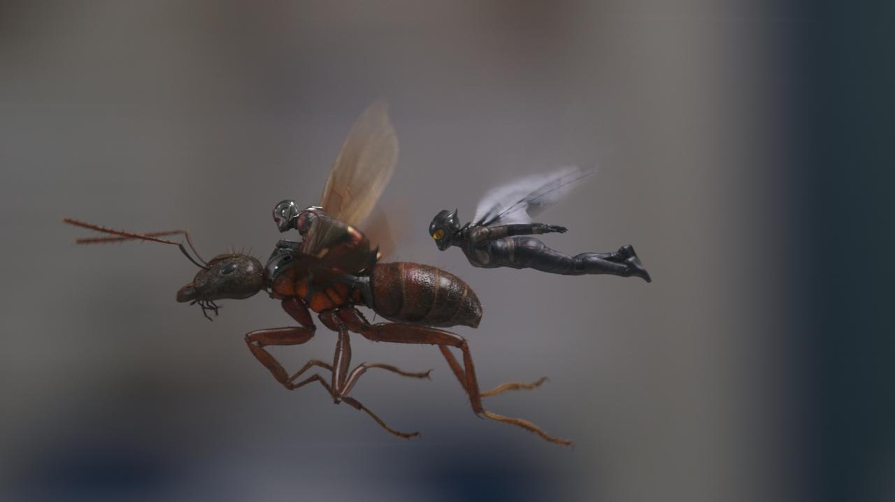 [24/07/2018] Ant-Man and the Wasp