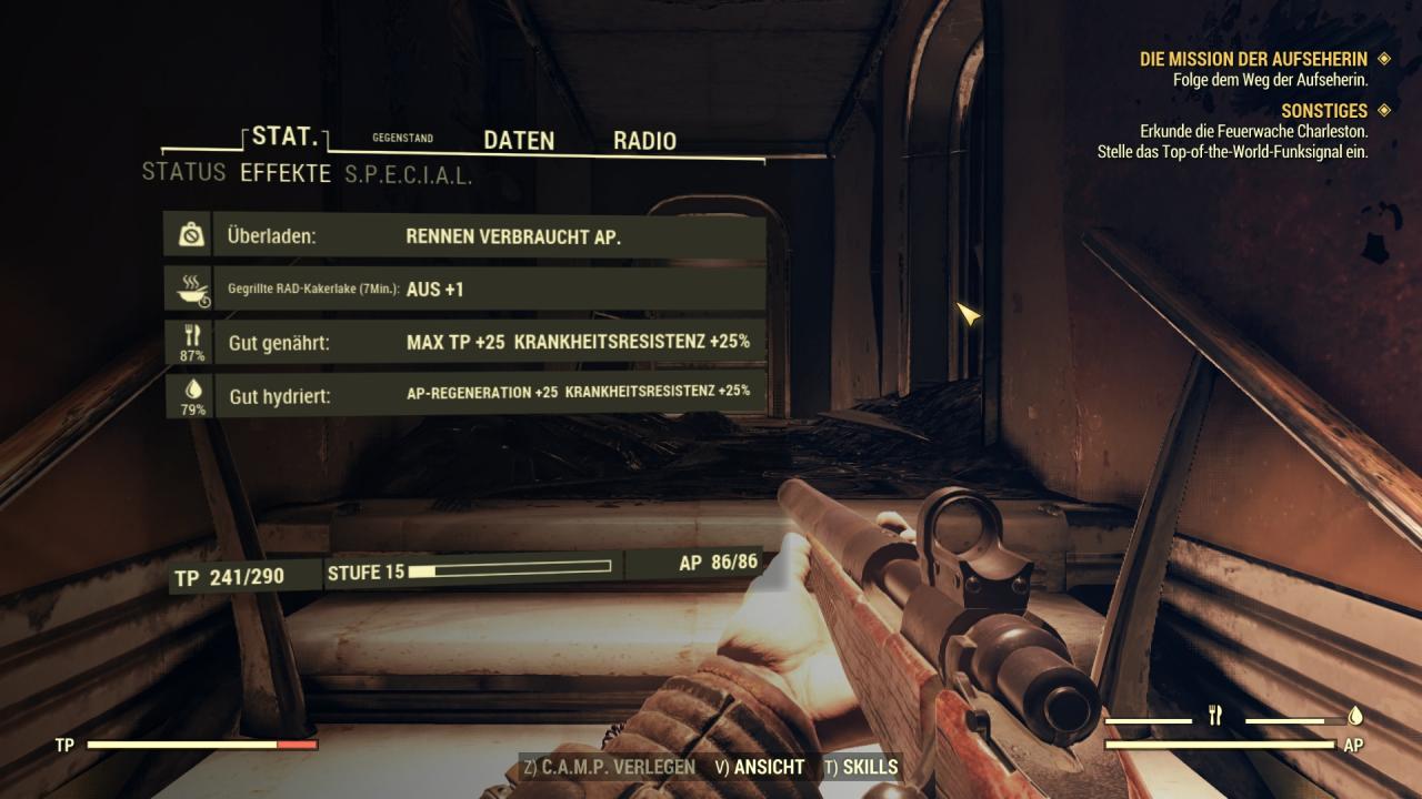 Effekte in Fallout 76.