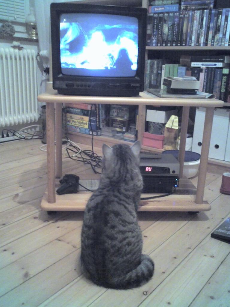 [20/12/2018] Röhrenfernseher werden heute nicht mehr hergestellt. Auf dem Gebrauchtmarkt kann man noch Glück haben, aber auch dort werden sie rar.&nbsp;