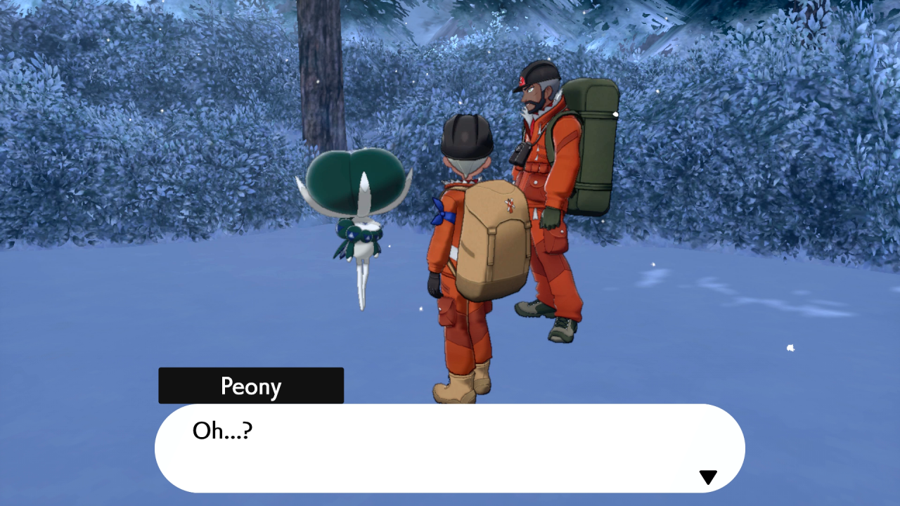 [27/10/2020] Pokémon Schwert & Schild: Die Schneelande der Krone - zweiter DLC im Test (6)
