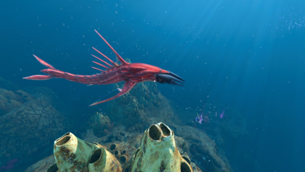 [30/04/2021] Leviathan - Chelicephalus