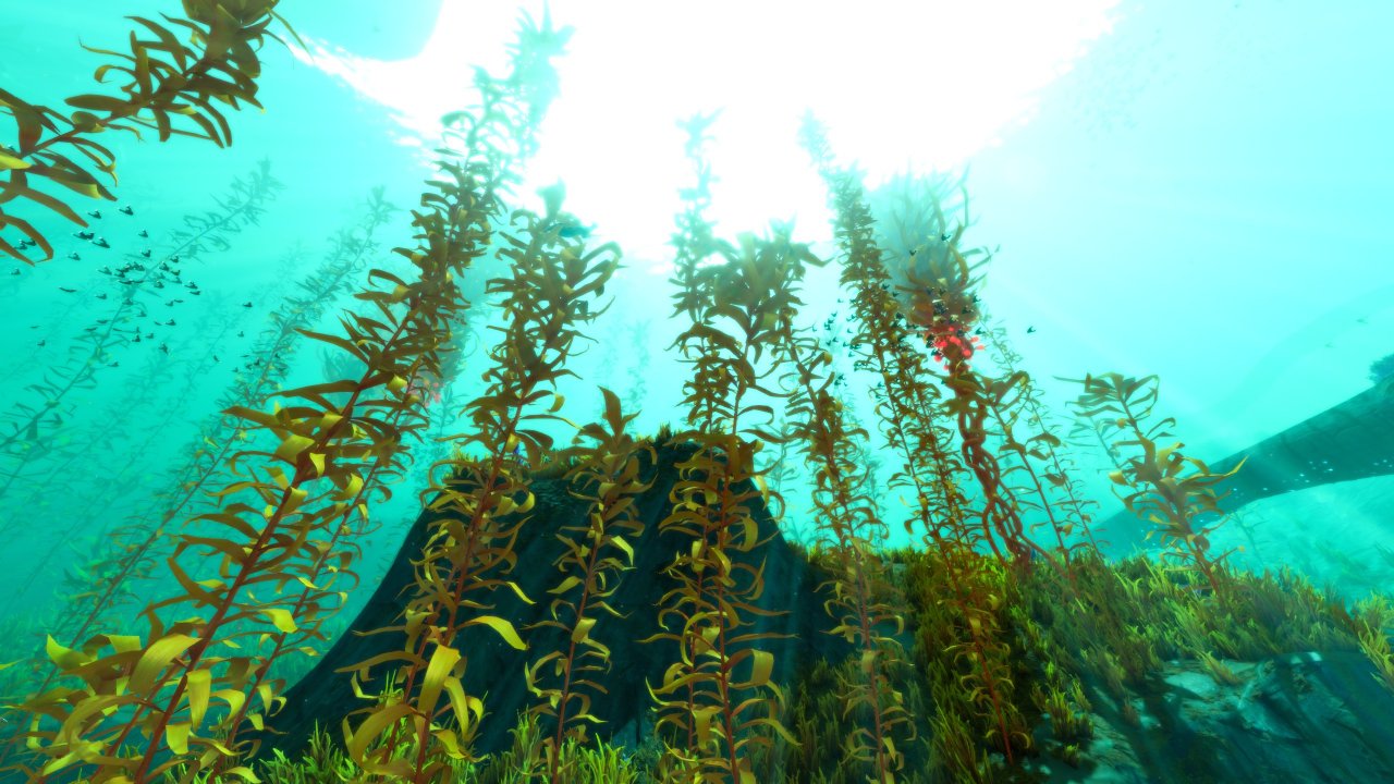 [30/04/2021] Arctic Kelp Forest