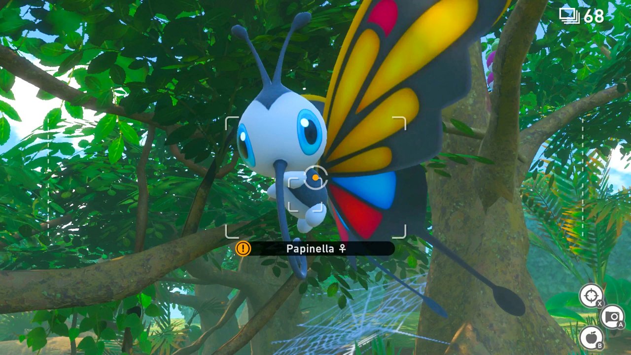 [27/04/2021] Das könnte ein Top-Foto sein, wären die Flügel nicht oben abgeschnitten. Einen Bonus erhalten wir auf jeden Fall, weil das Pokémon in die Kamera schaut.