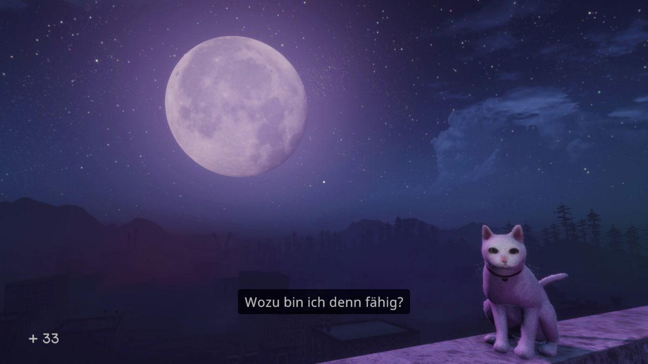 [11/10/2021] Tonia ist unsere engste Vertraute und erzählt unsere Geschichte.&nbsp;